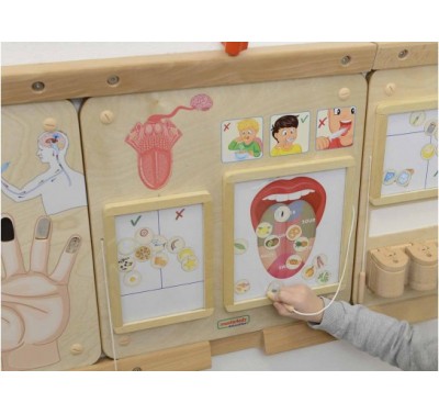 Bộ làm quen STEM lĩnh vực khoa học trải nghiệm năm giác quan sờ, thấy, thính giác, vị giác, khứu giác; kèm bộ giáo án hoạt động trải nghiệm thực hành và video hướng dẫn.